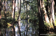 Gewässer fürs Kanuwandern