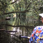 Kanuwandertouren im Spreewald