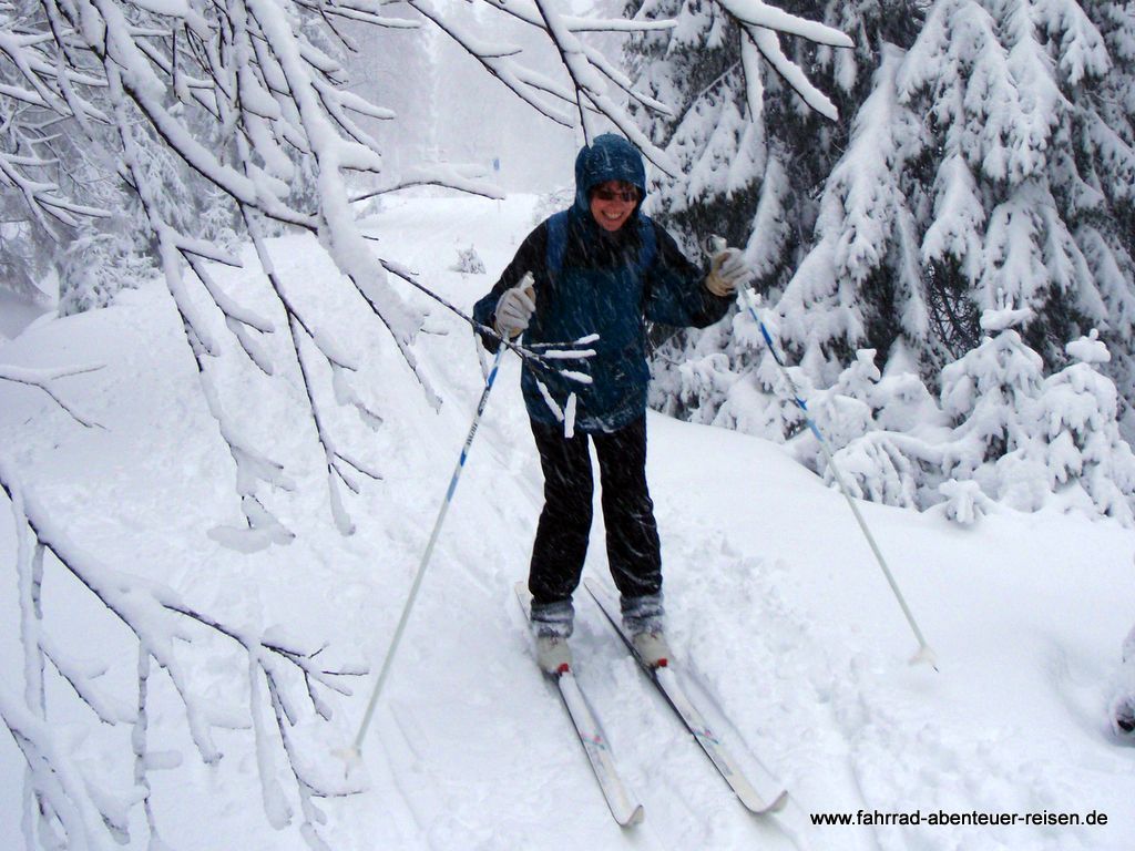 Einstieg zum Langlauf: Ski-Langlauf erlernen. Klassisch & Skating