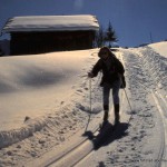 Laufstile beim Langlauf