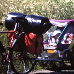mit Fahrrad Anhänger in Dänemark