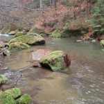 Elbsandsteingebirge-Reisefotos