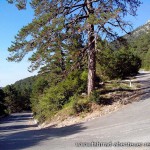 Llogara National Park - Albanien-Süd