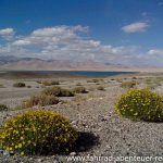 Pamir-Highway