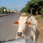 Vrindavan - Reisefotos