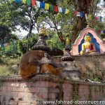 Swoyembhu Stupa