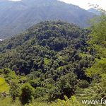 vor Pokhara