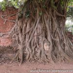 Ayutthaya - Thailand