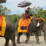 Elefantenreiten in Ayutthaya