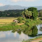 Botanik in Thailand