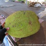 Jackfruit