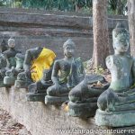 Buddha-Friedhof in Chiang Mai