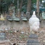 Buddha-Friedhof in Chiang Mai