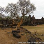 Wat Phou