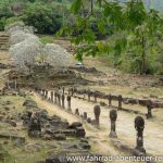 Wat Phou