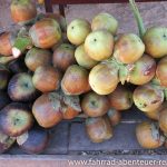 Tropische Frucht - Reiseinfos Laos