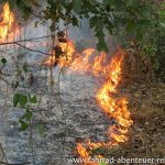 Reinigung der Felder mit Feuer