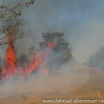 Reinigung mit Feuer