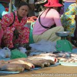 Fischmarkt - Reiseinfos Kambodscha