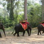 Elefantenreiten am Angkor Wat