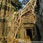 Ta Phrom