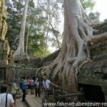 Ta Phrom