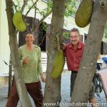 Jackfruit in Asien