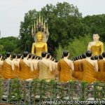 Wat Chak Yai Buddhism Park