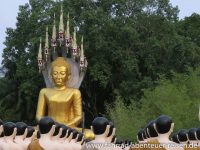 Wat Chak Yai Buddhism Park