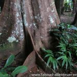 Wat Tham Ta Pan