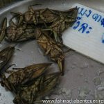 leckere Tierchen auf dem Markt in Krabi