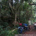 Thung Khai Park