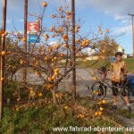 Herbst in Griechenland