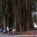 am Lake Garden - Radreisen in Malaysia