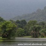 Lake Garden