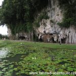 Gunung Lang Recreation Park