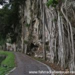 Gunung Lang Recreation Park