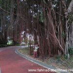 Der Park hinter den Petronas-Twin-Towers