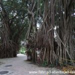 Der Park hinter den Petronas-Twin-Towers