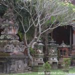 Champa-Tree am Hindu-Tempel auf Bali