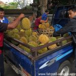 Durian-Verkauf auf Bali