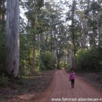 Warren National Park