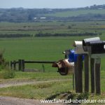 Briefkästen in Australien