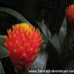 Botanischer Garten Christchurch