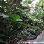 Botanischer Garten Christchurch