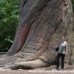 Botanischer Garten Christchurch