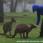 Australien-Reisefotos