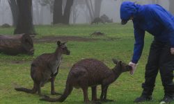 Australien-Reisefotos