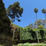 Umpherston Sinkhole