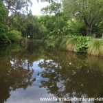 Public Garden in Oamaru